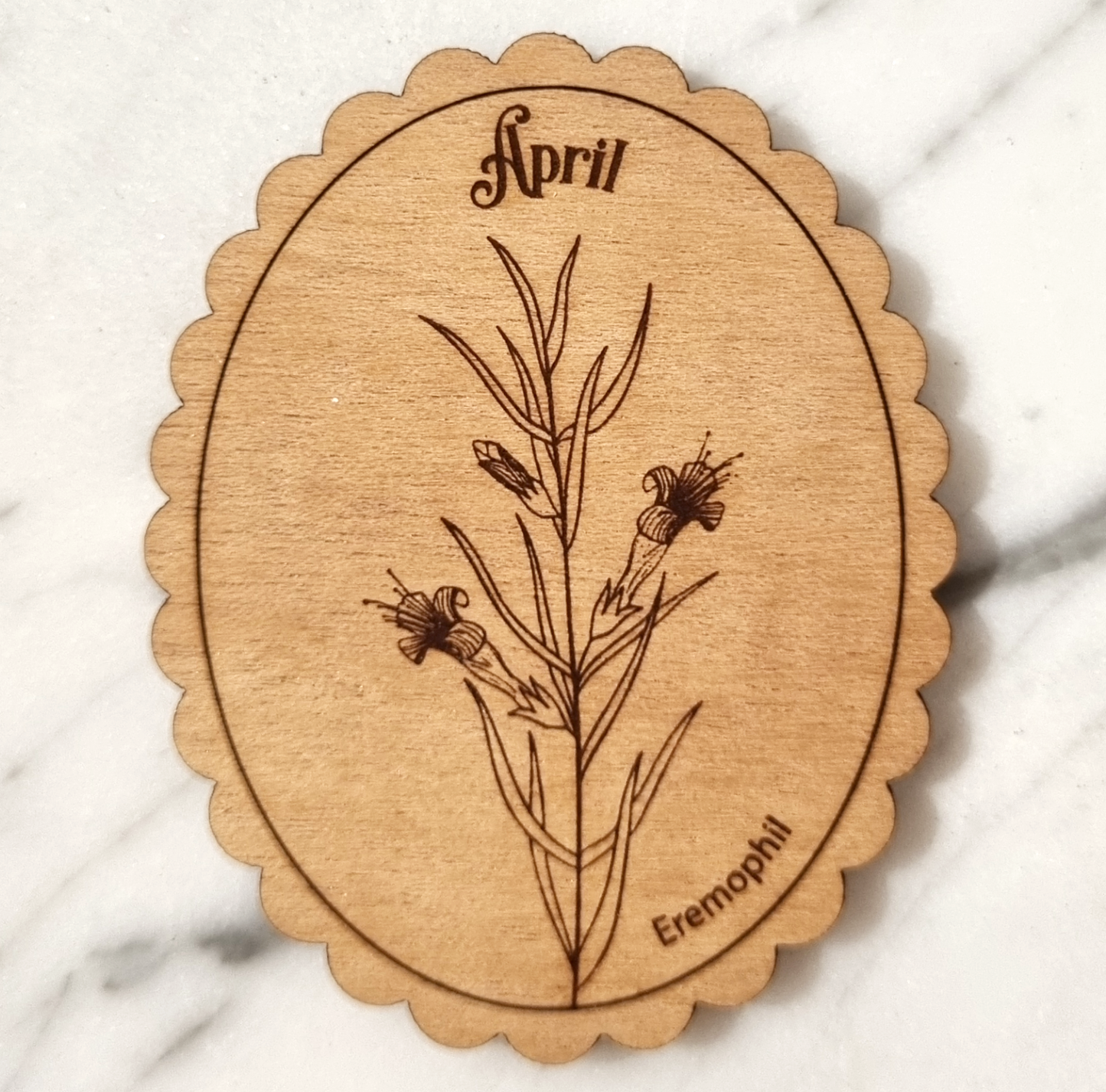 Magnet Australian Birth Month Flower April