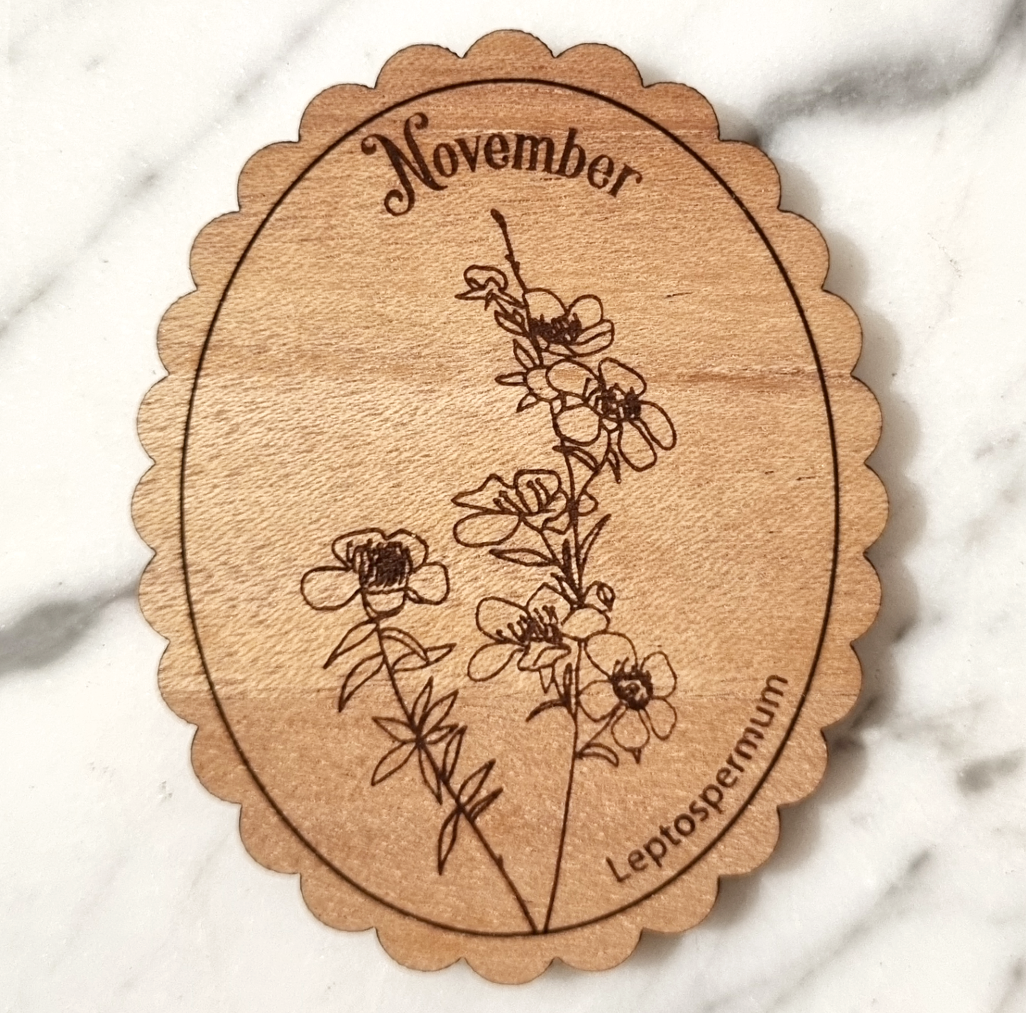 Magnet Australian Birth Month Flower November
