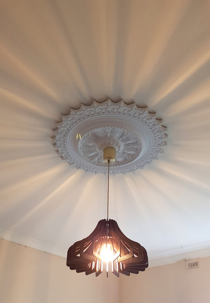 Hood Lamp - Ceiling Light - Jarrah