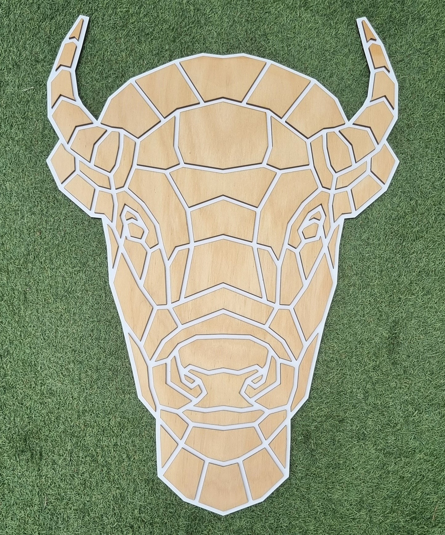 GeoZoo Bison Pieces - SALE - Display Piece - Local pick-up only