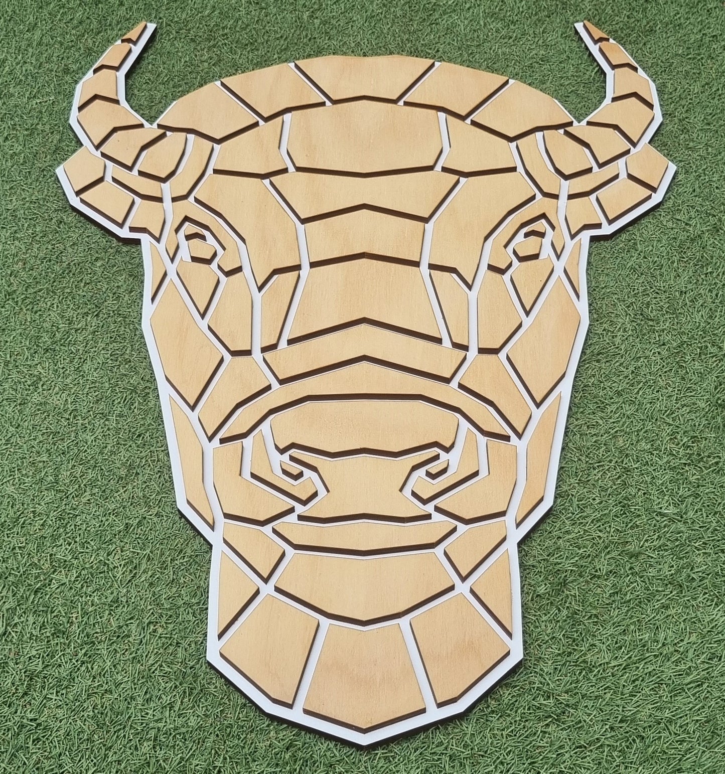 GeoZoo Bison Pieces - SALE - Display Piece - Local pick-up only