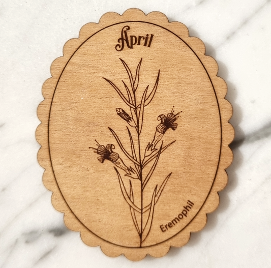 Magnet Australian Birth Month Flower April