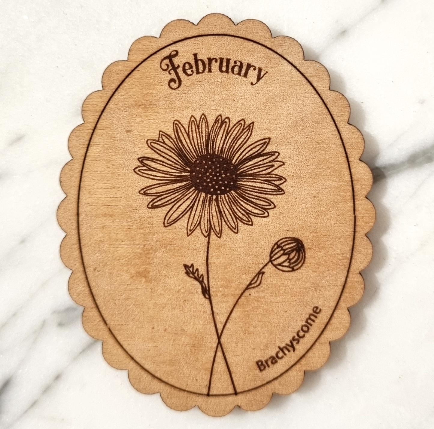 Magnet Australian Birth Month Flower February