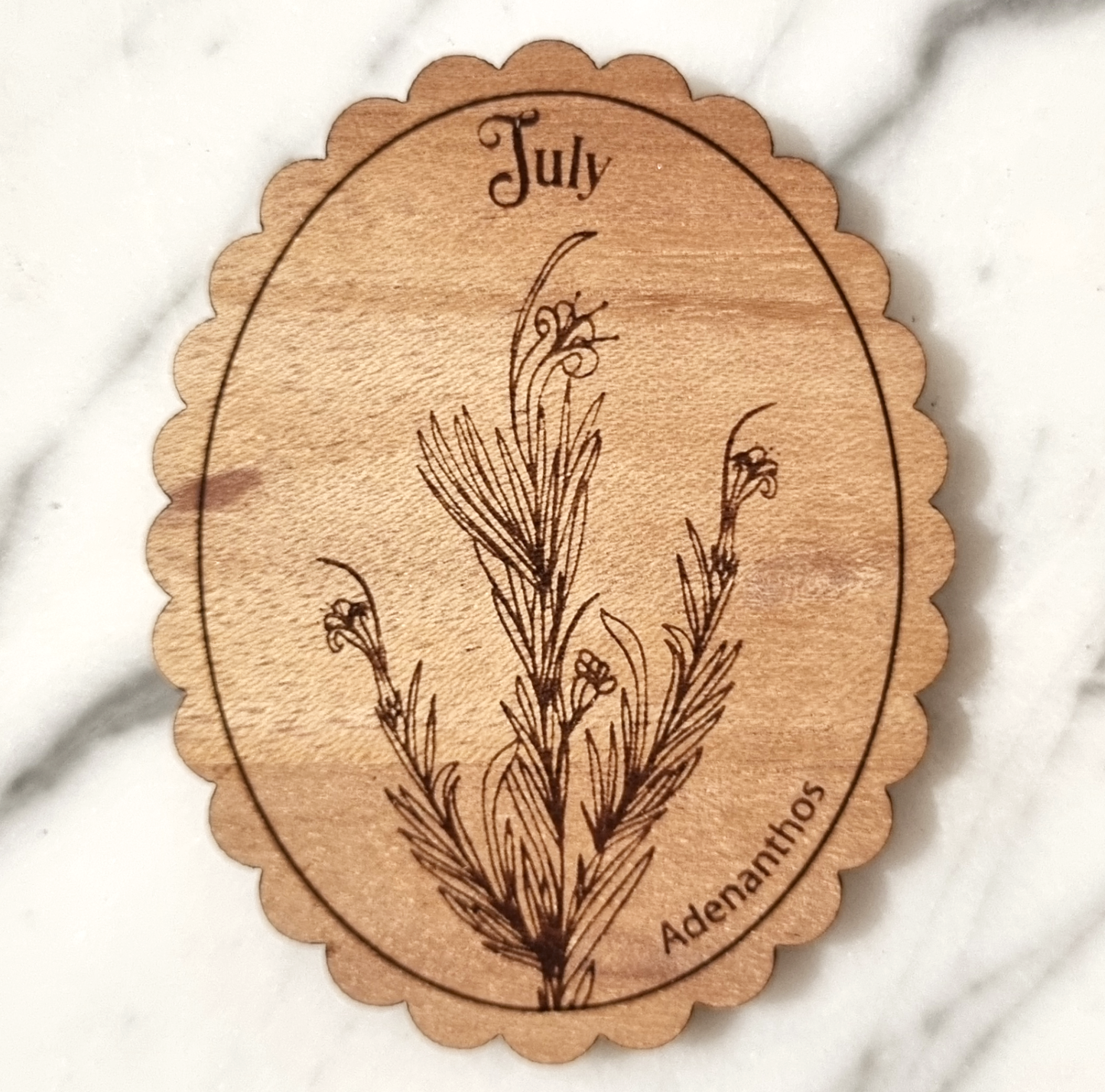 Magnet Australian Birth Month Flower July