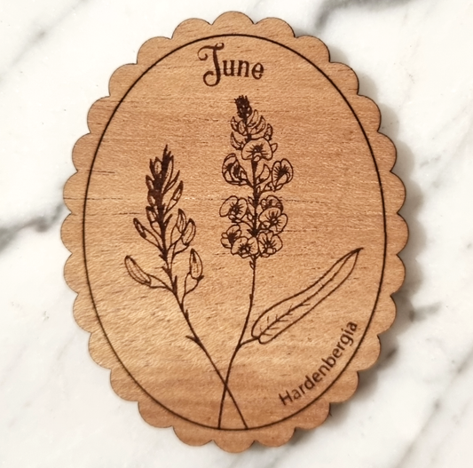 Magnet Australian Birth Month Flower June